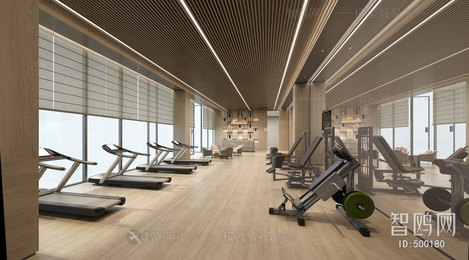 Modern Gym