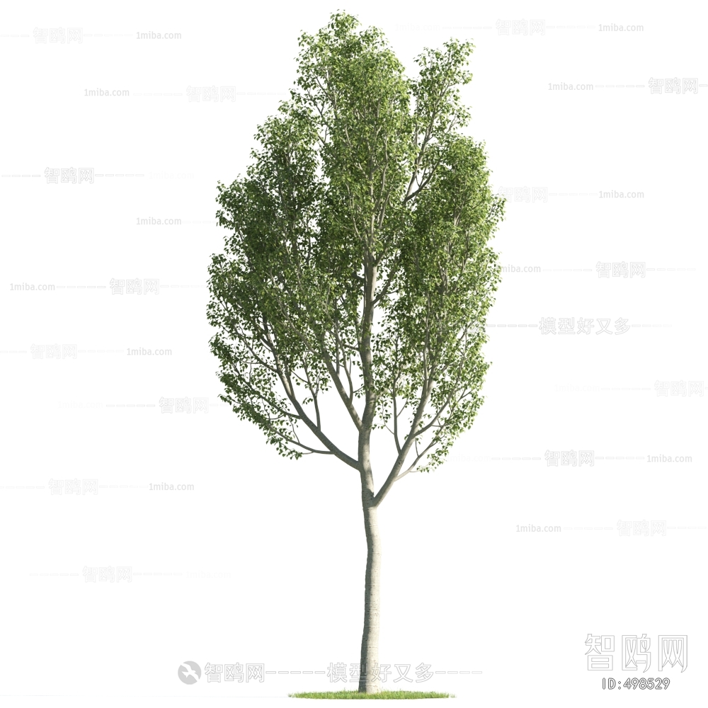 Modern Tree