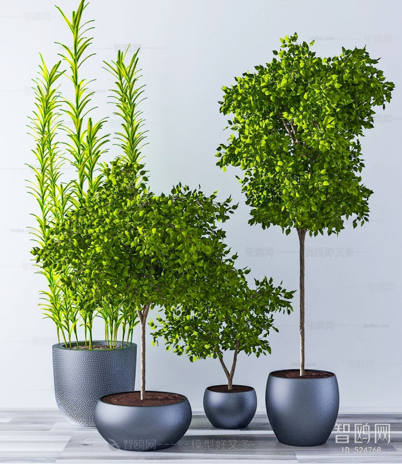 Modern Potted Green Plant