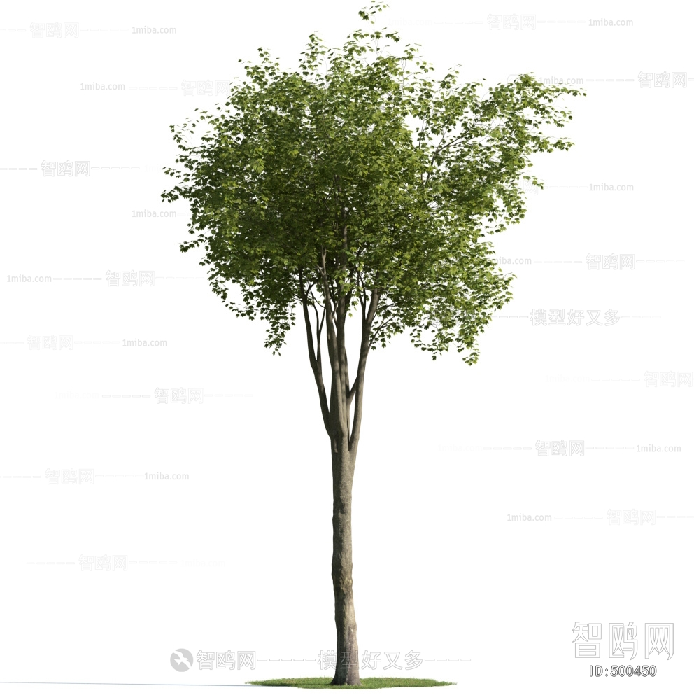 Modern Tree