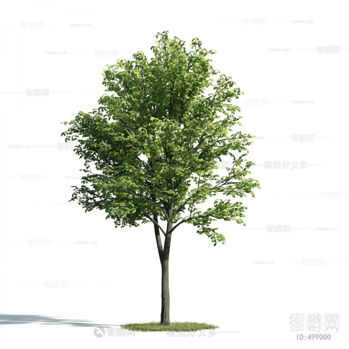 Modern Tree