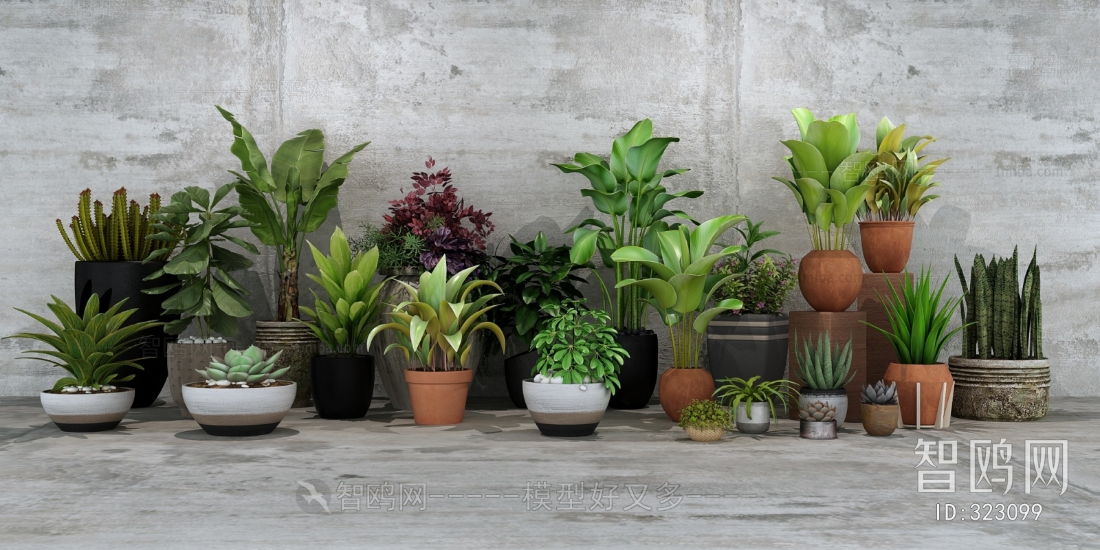 Modern Potted Green Plant