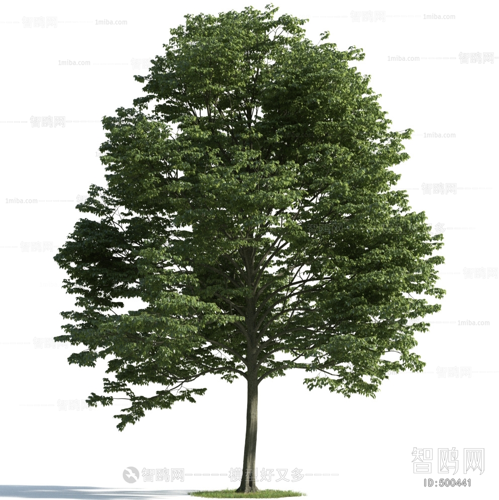 Modern Tree