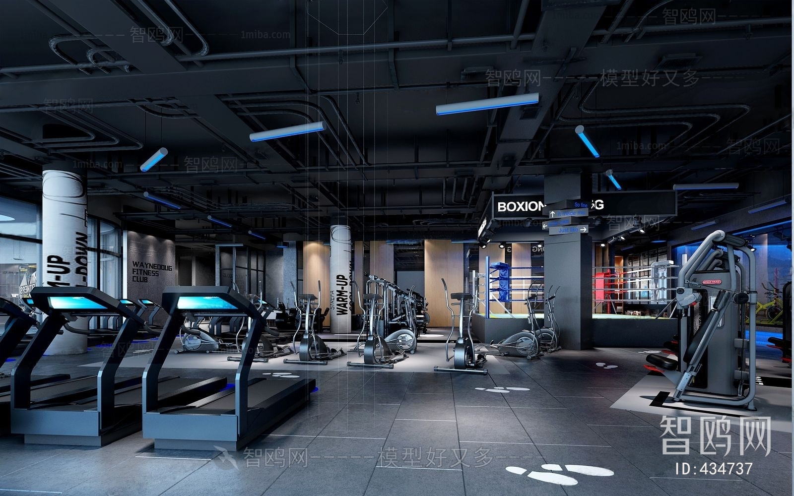 Industrial Style Gym