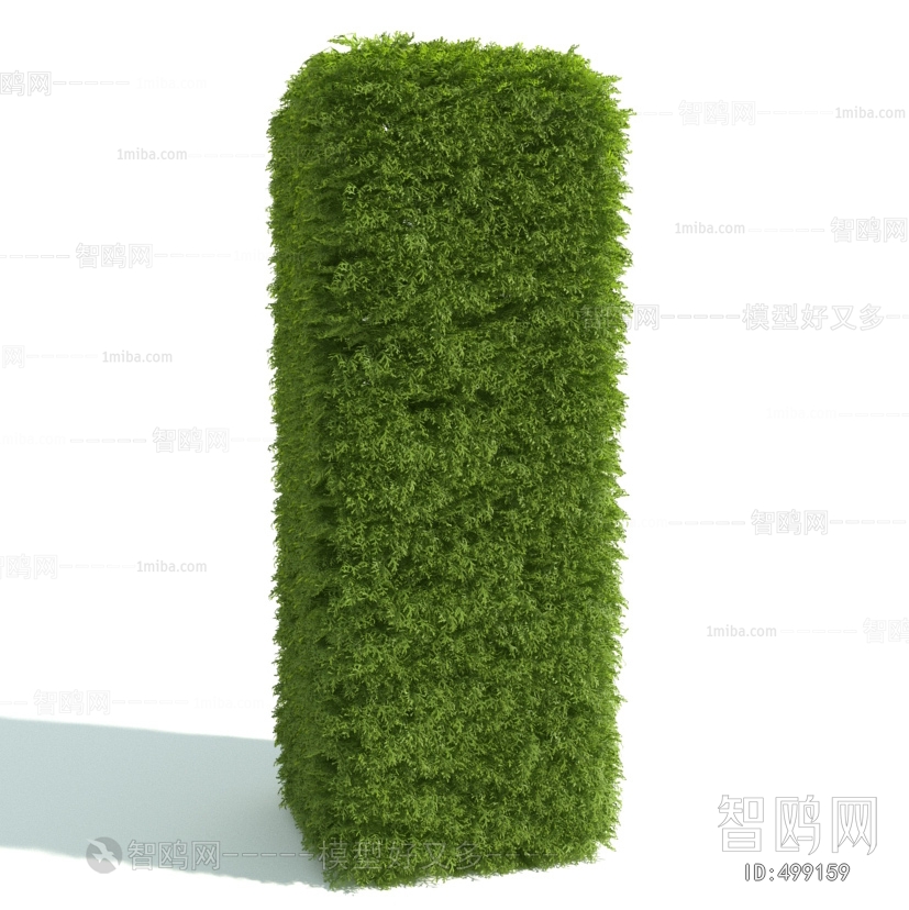 Modern Shrubbery