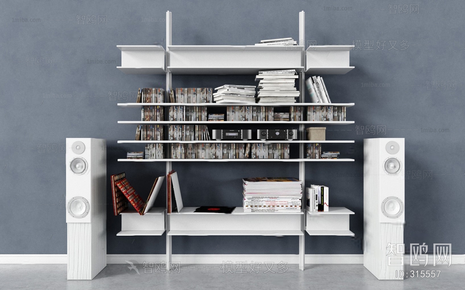 Modern Bookcase