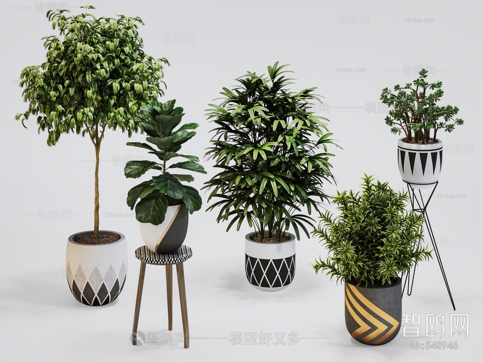 Modern Potted Green Plant