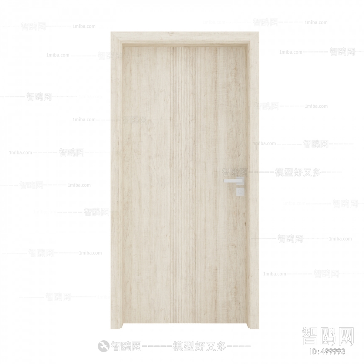 Modern Door