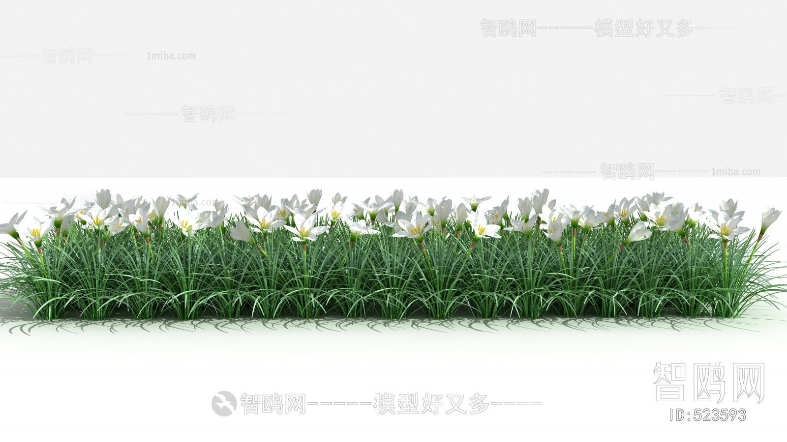 Modern Flowers And Grass