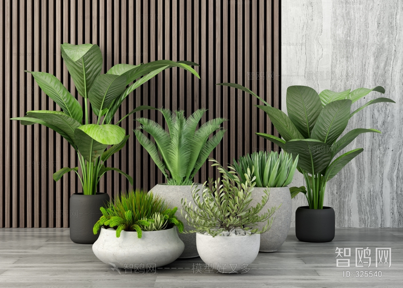 Modern Potted Green Plant