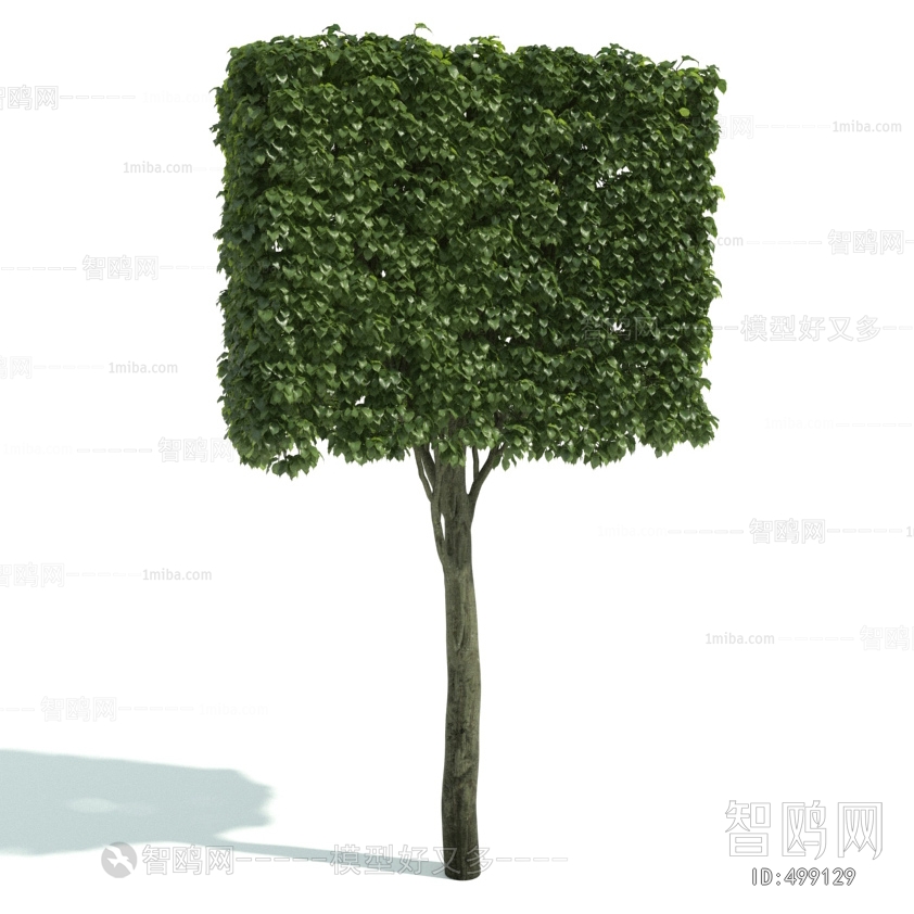 Modern Tree