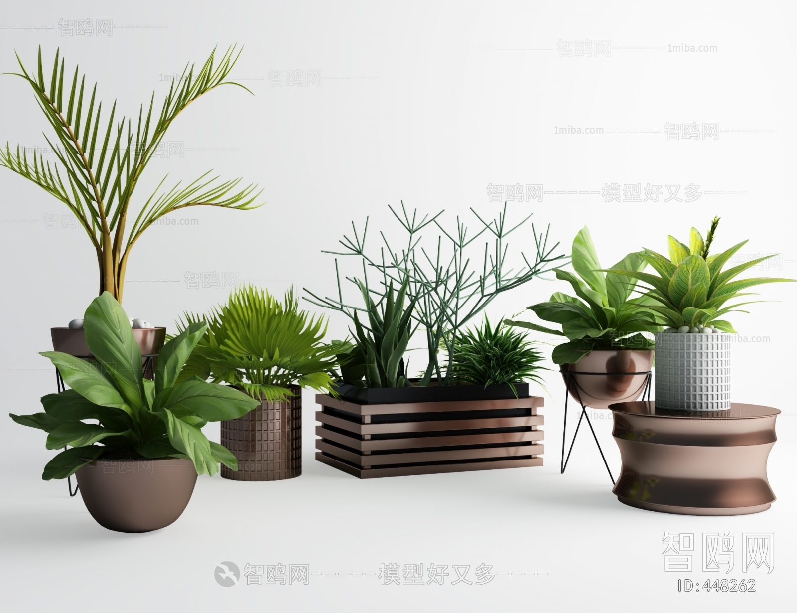 Modern Potted Green Plant