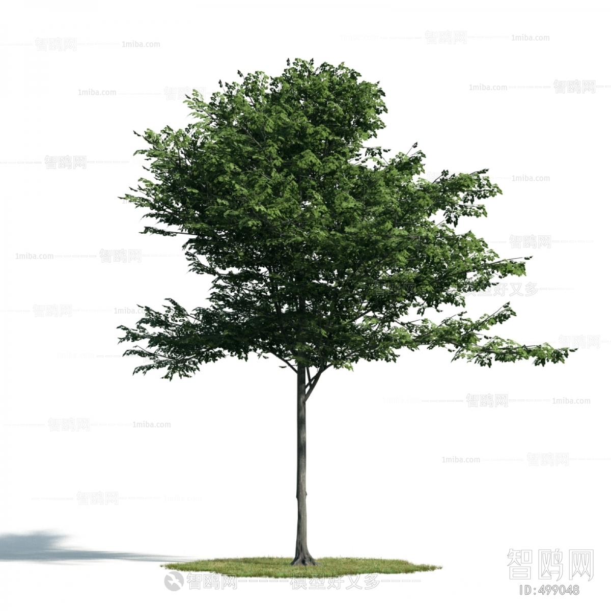 Modern Tree