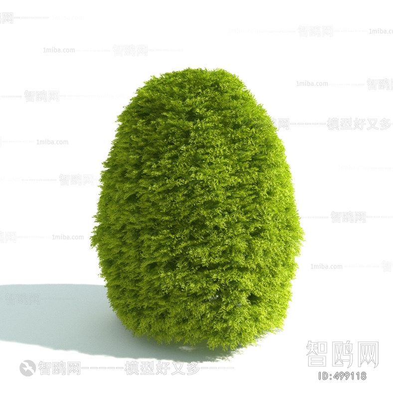 Modern Shrubbery