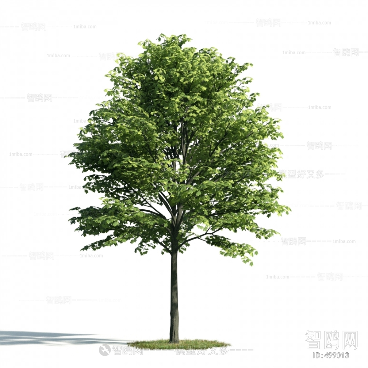 Modern Tree