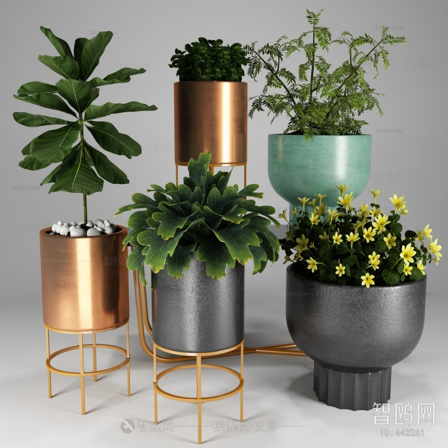 Modern Potted Green Plant