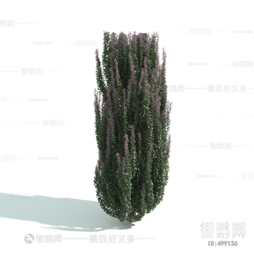 Modern Shrubbery