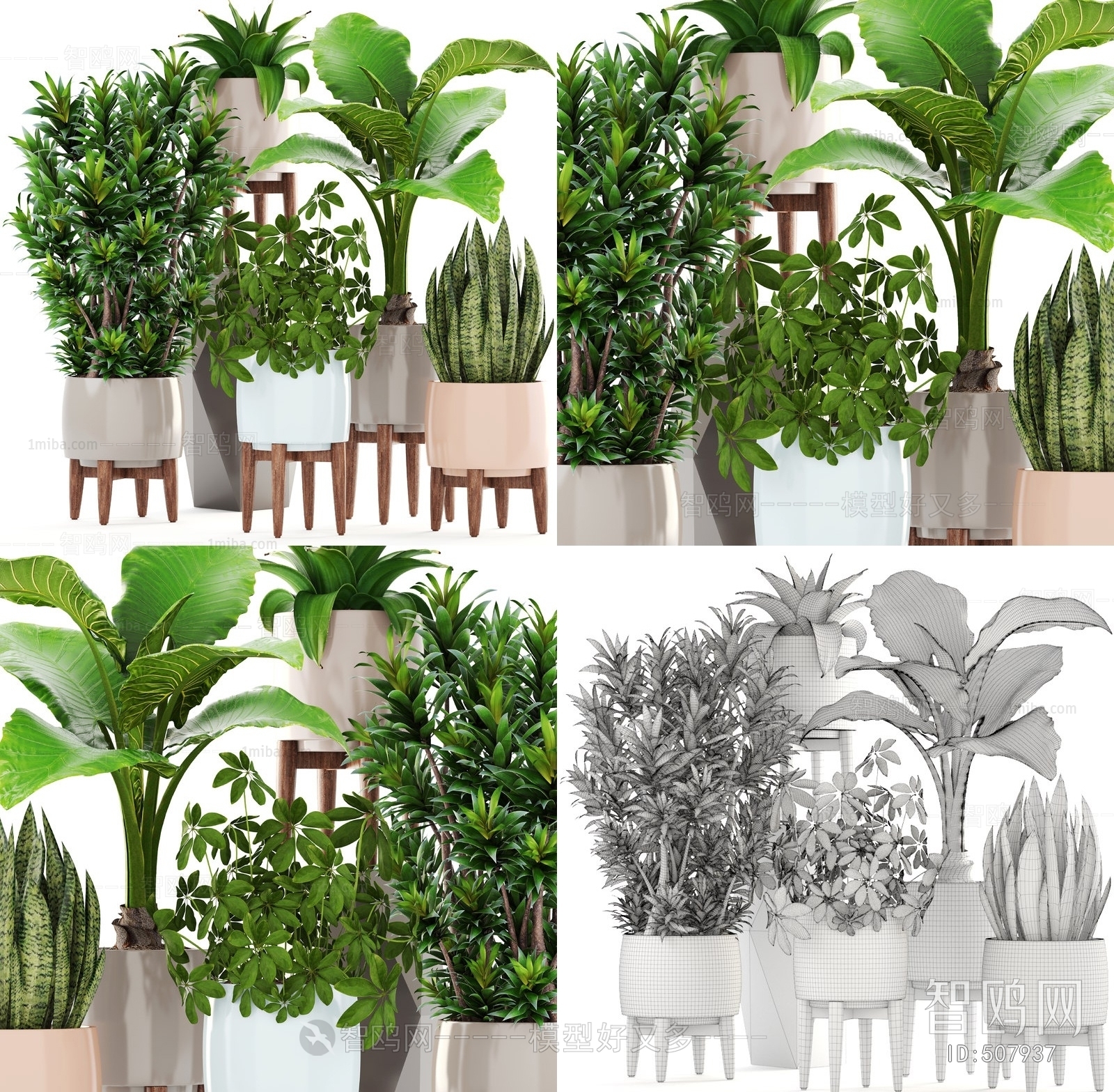 Modern Potted Green Plant