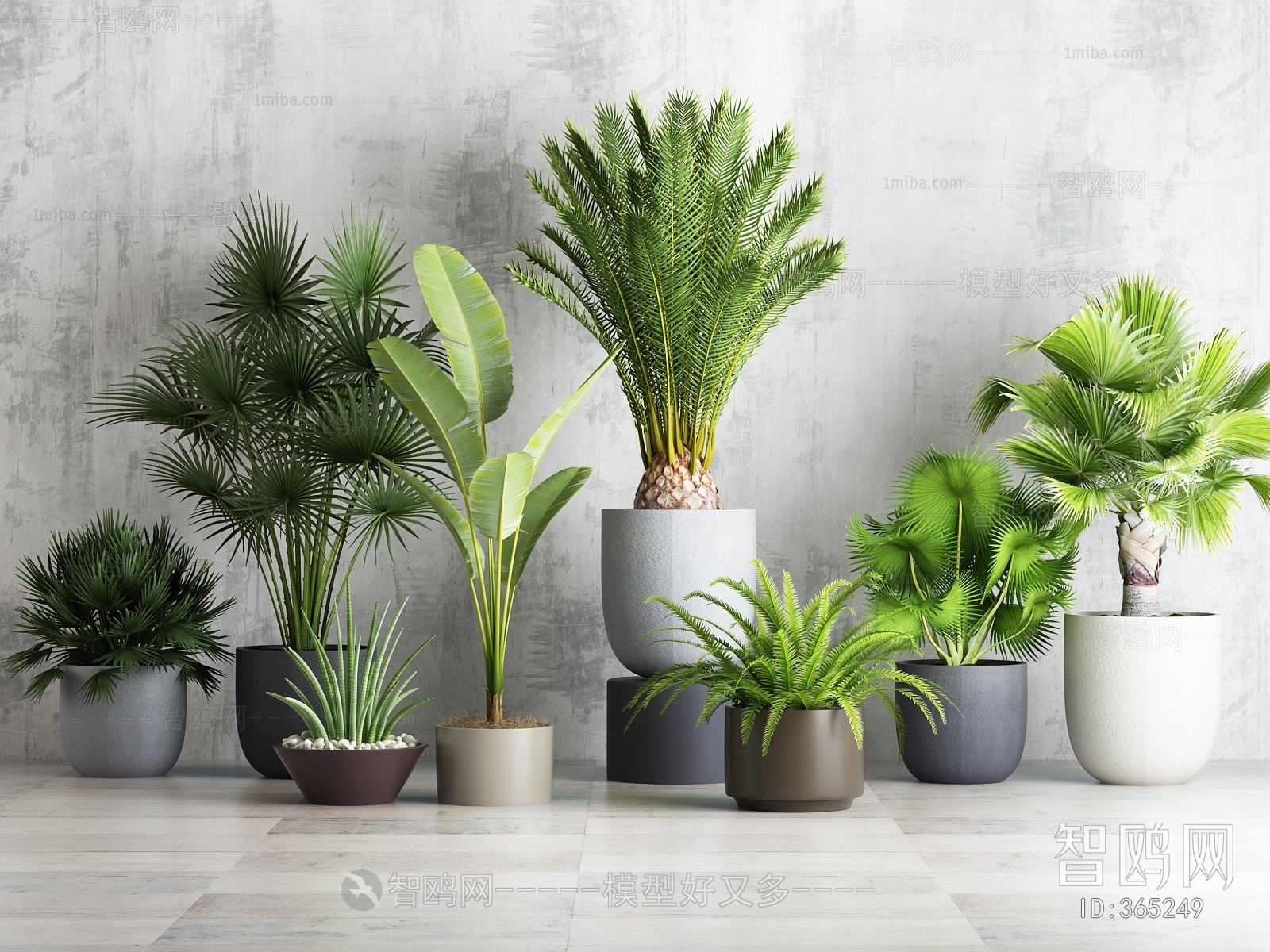 Modern Potted Green Plant