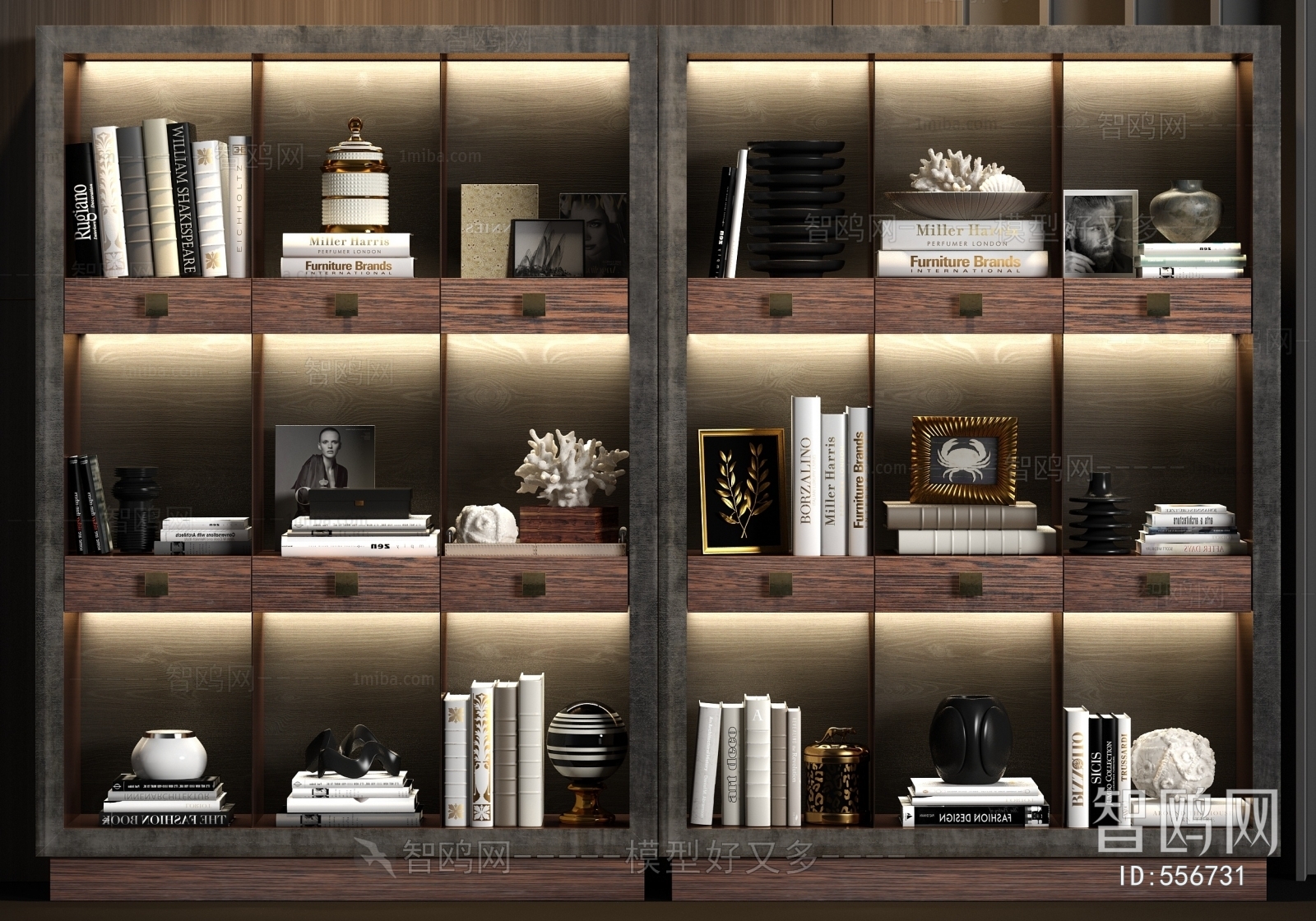 Modern Bookcase