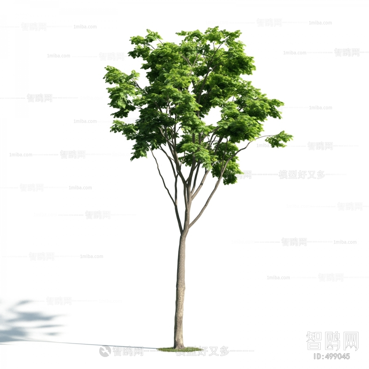 Modern Tree