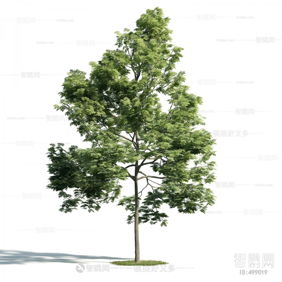 Modern Tree