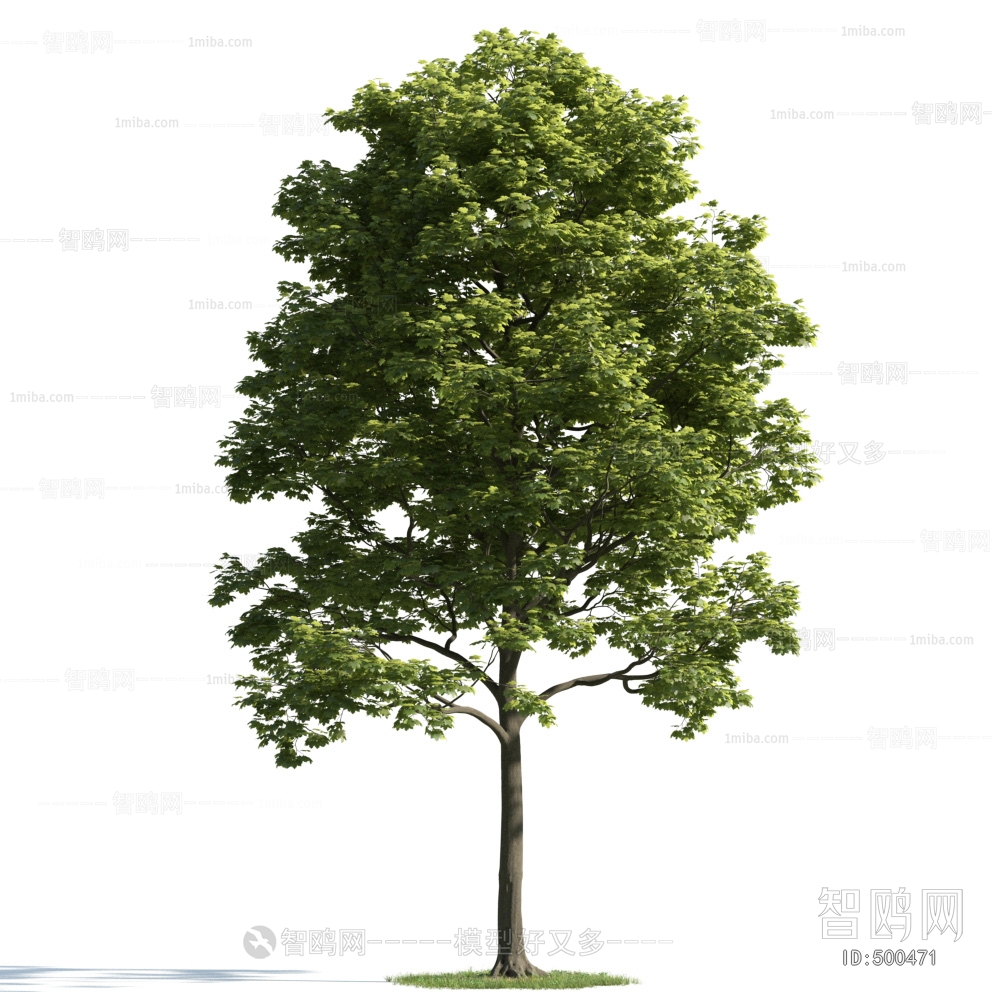 Modern Tree