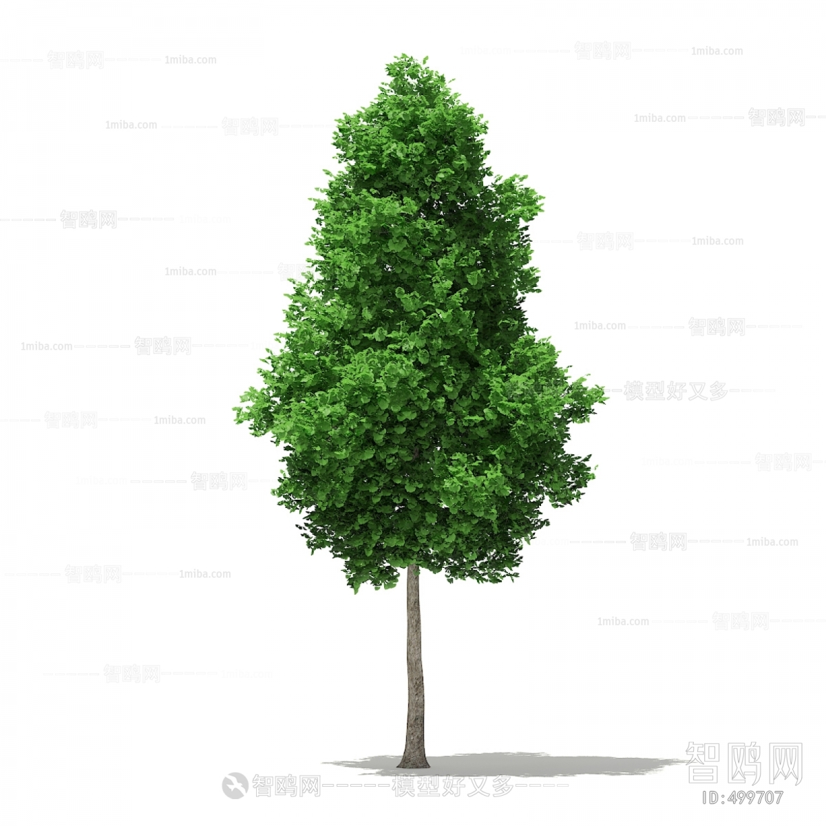 Modern Tree