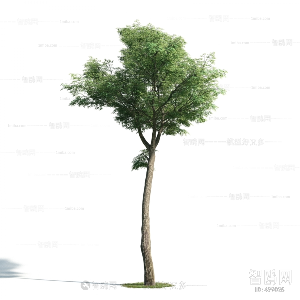 Modern Tree