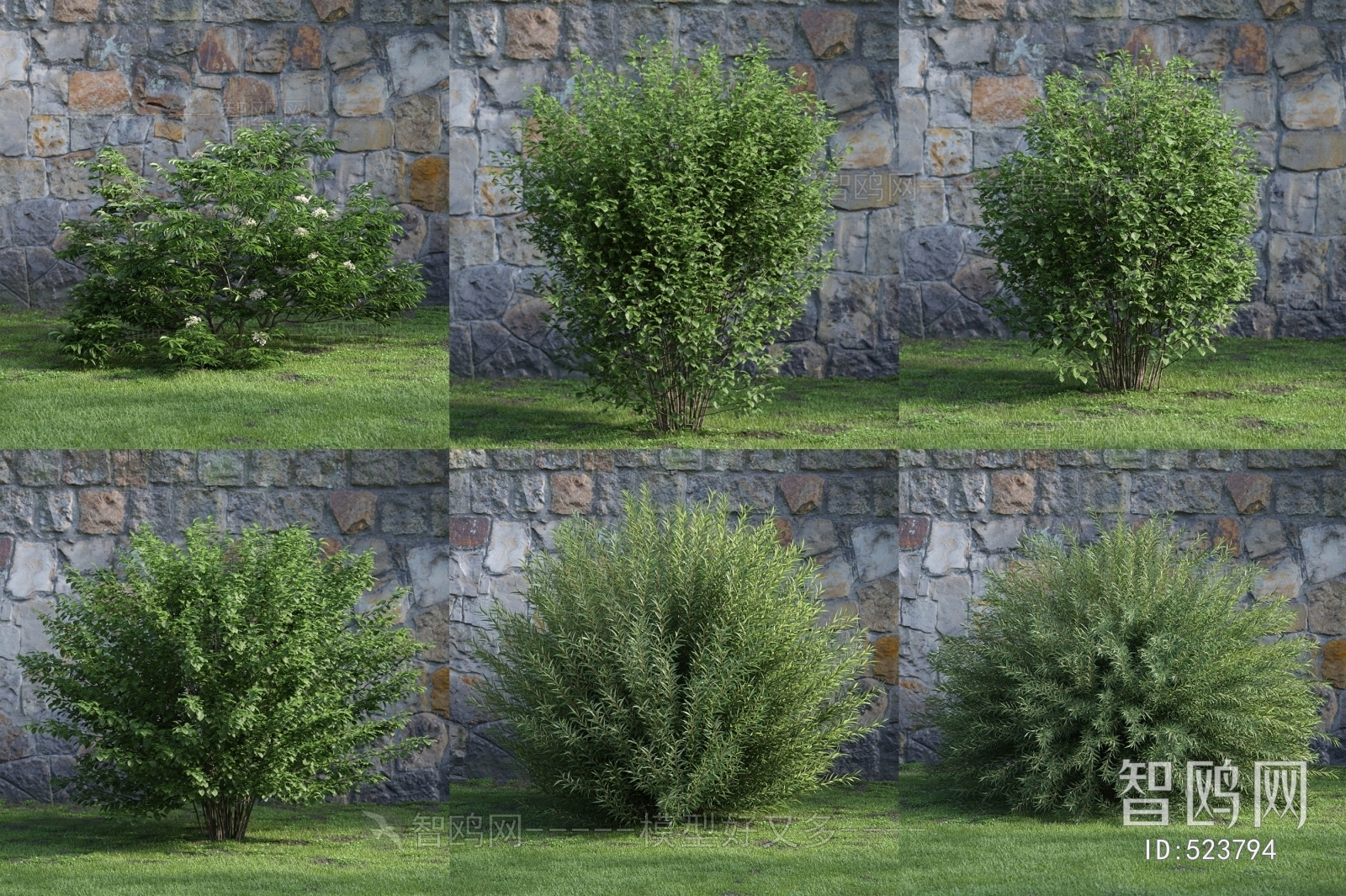 Modern Shrubbery