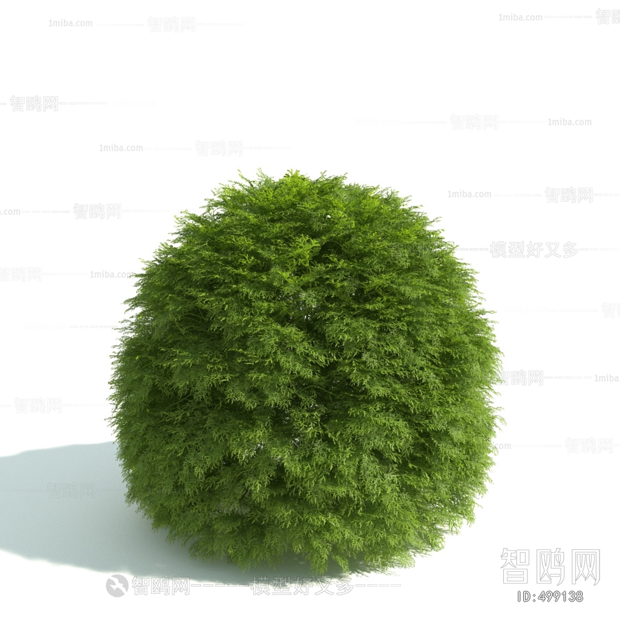 Modern Shrubbery