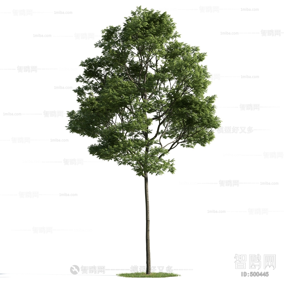 Modern Tree