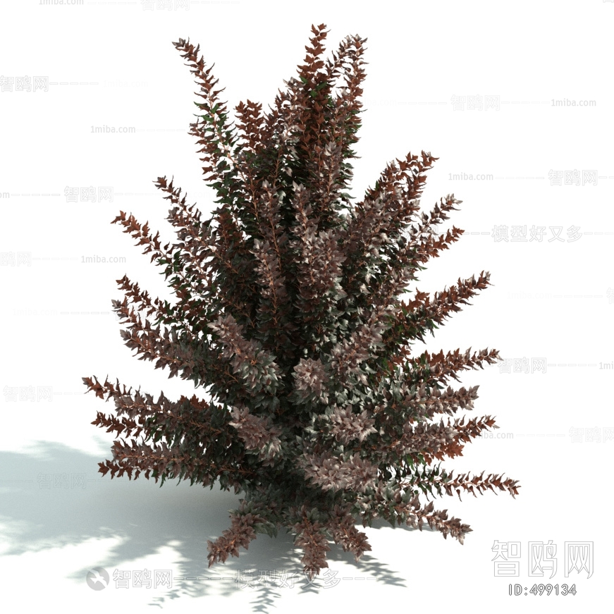 Modern Shrubbery