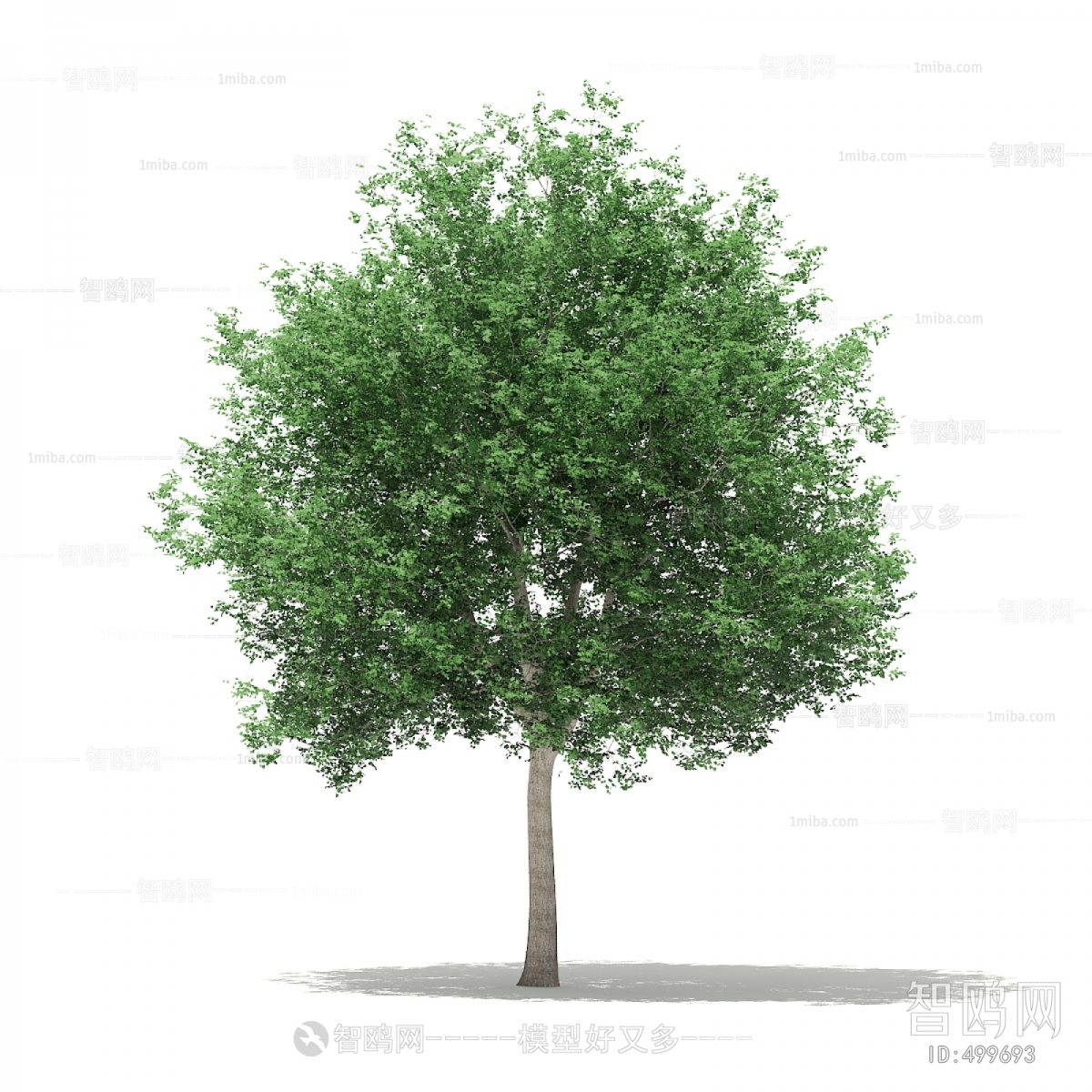 Modern Tree