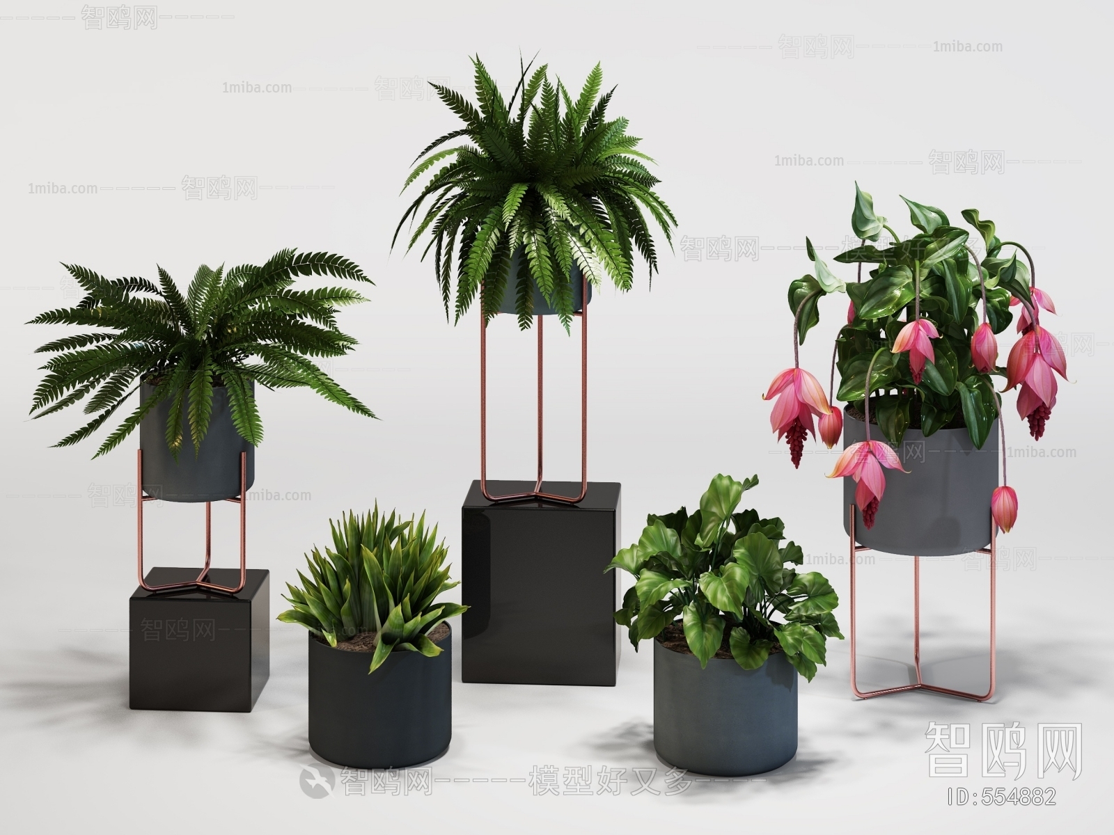 Modern Potted Green Plant