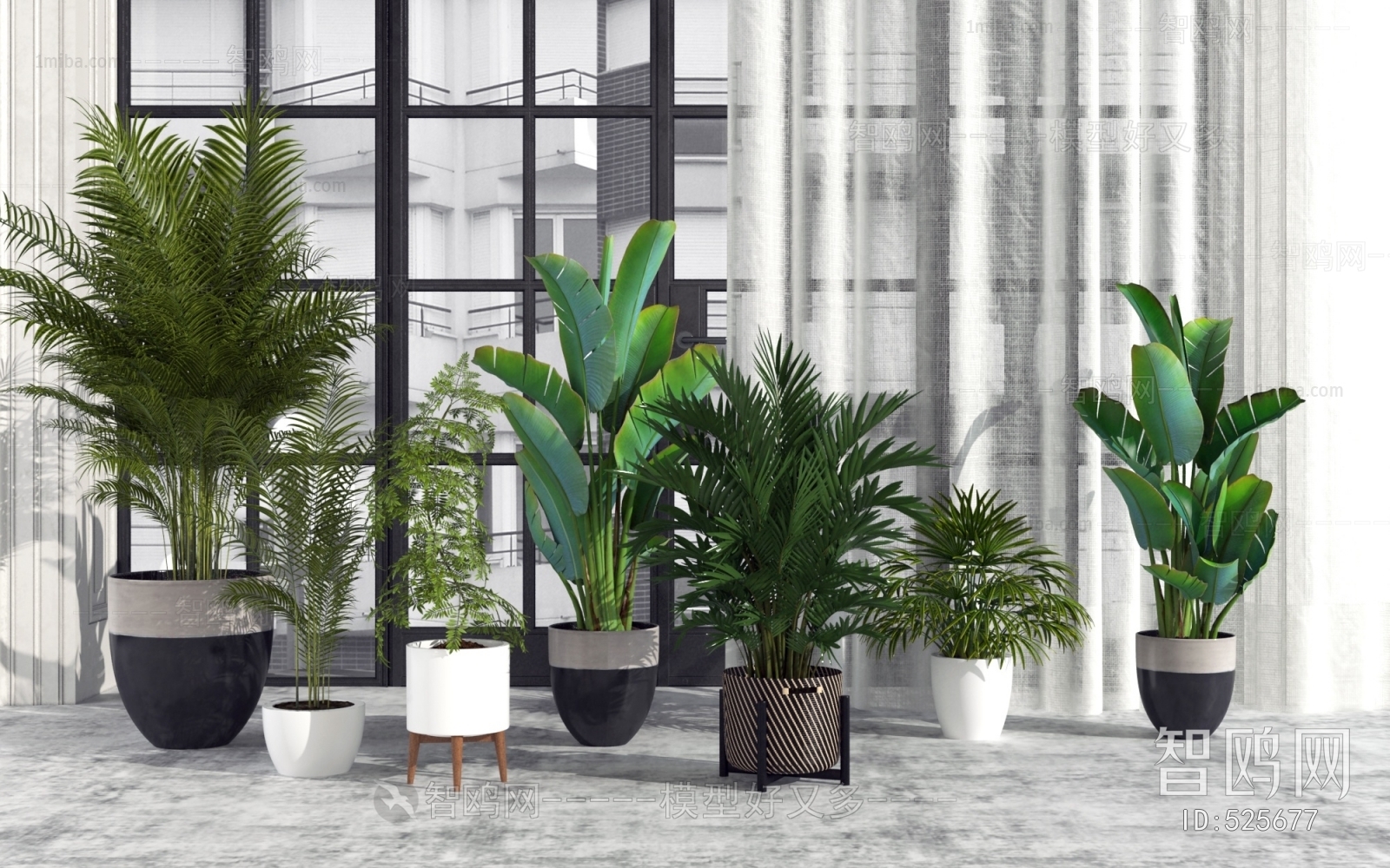 Modern Potted Green Plant