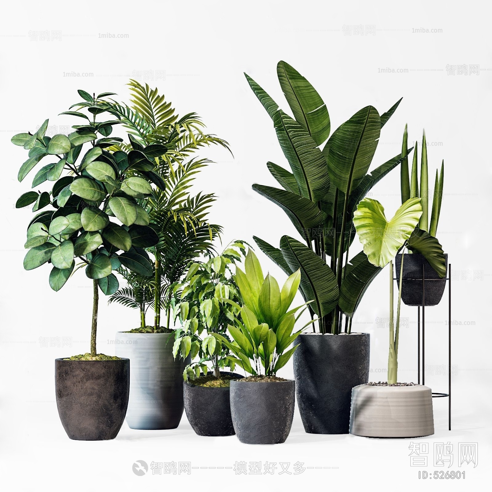 Modern Potted Green Plant