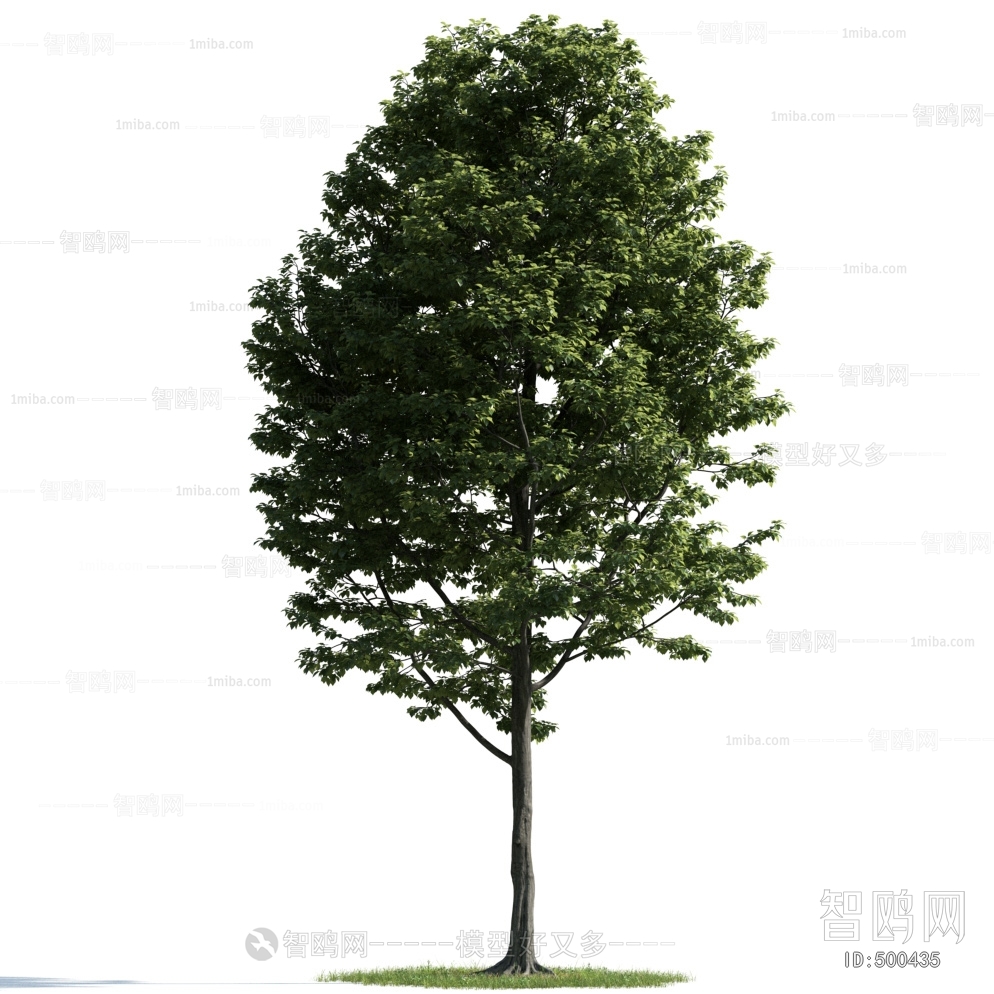 Modern Tree