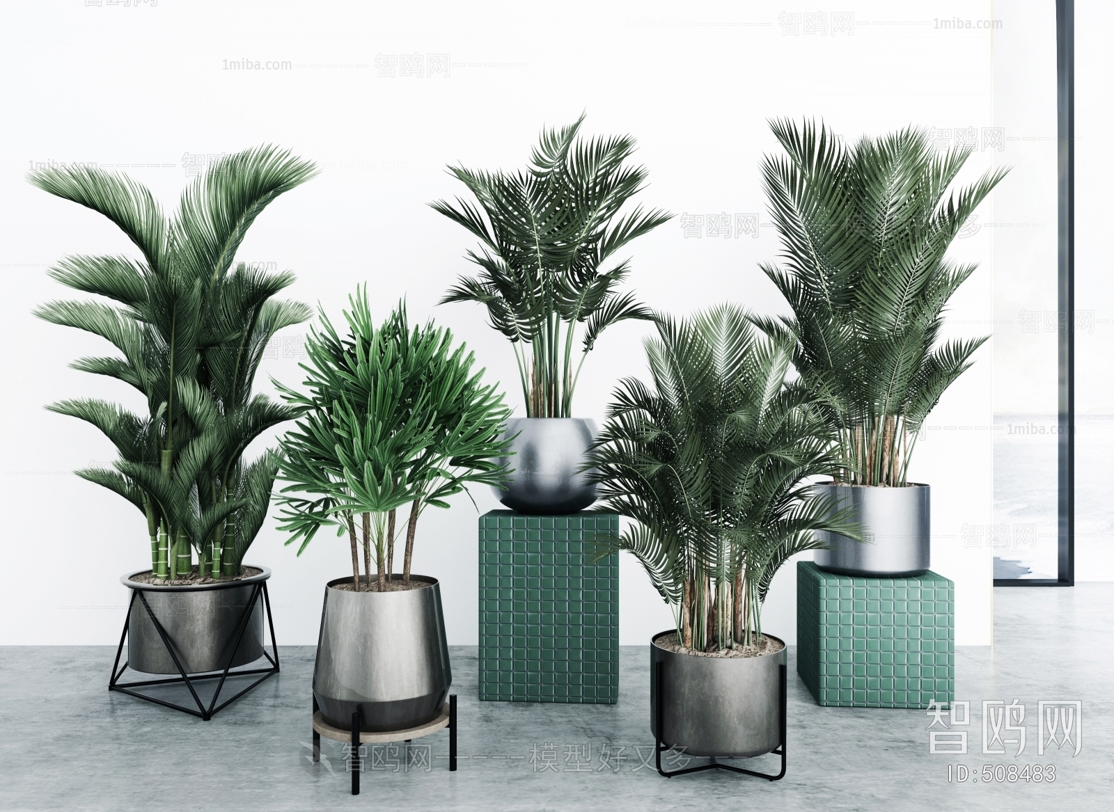 Modern Potted Green Plant