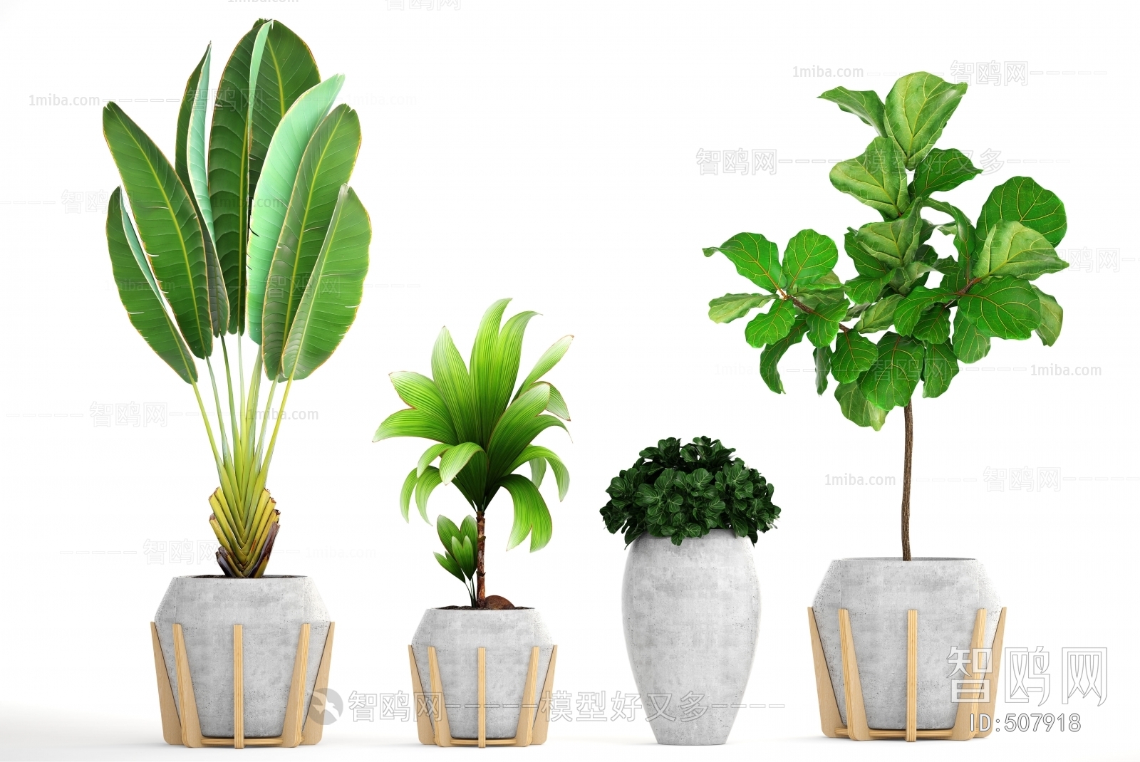 Modern Potted Green Plant