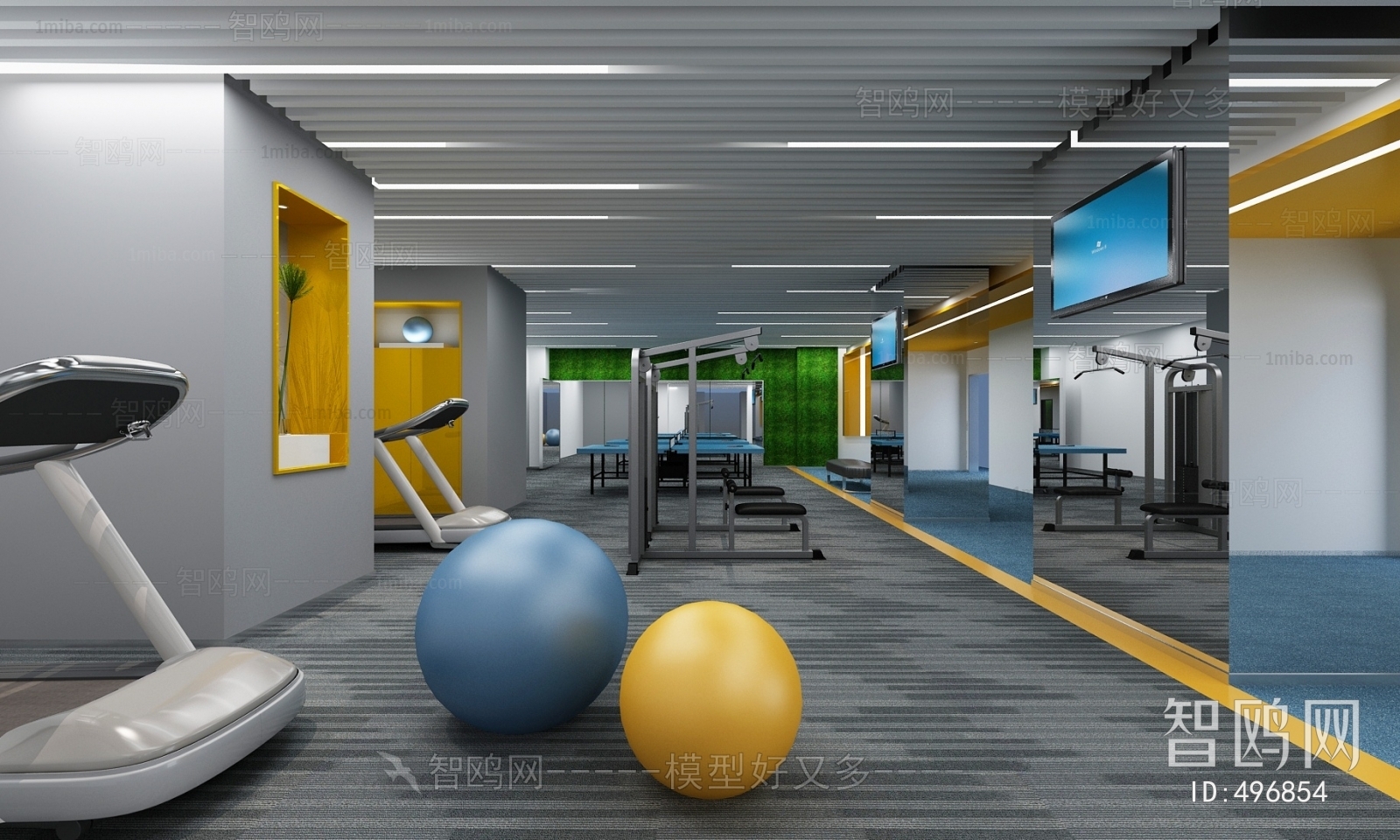 Modern Gym