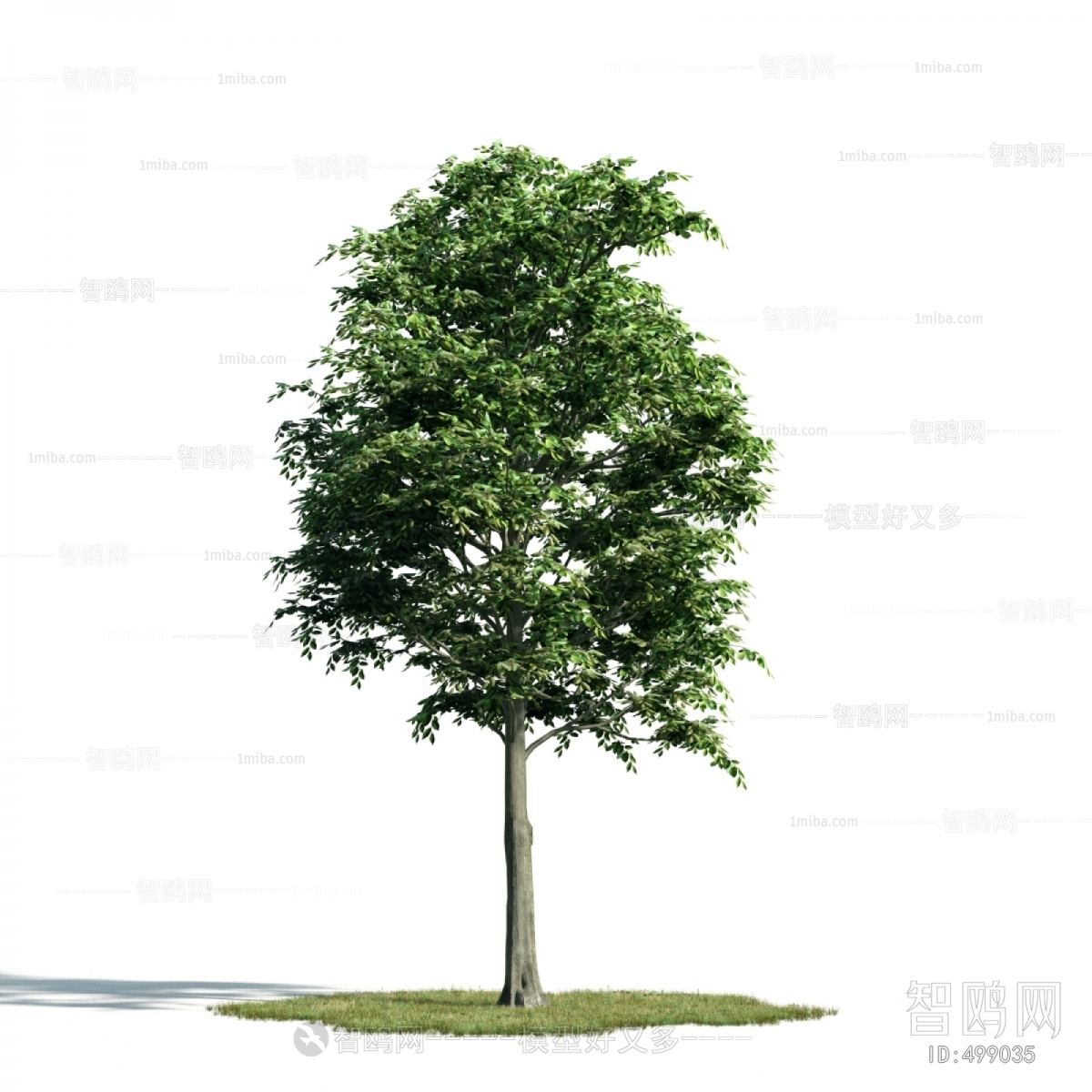 Modern Tree