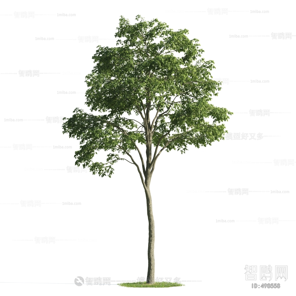 Modern Tree