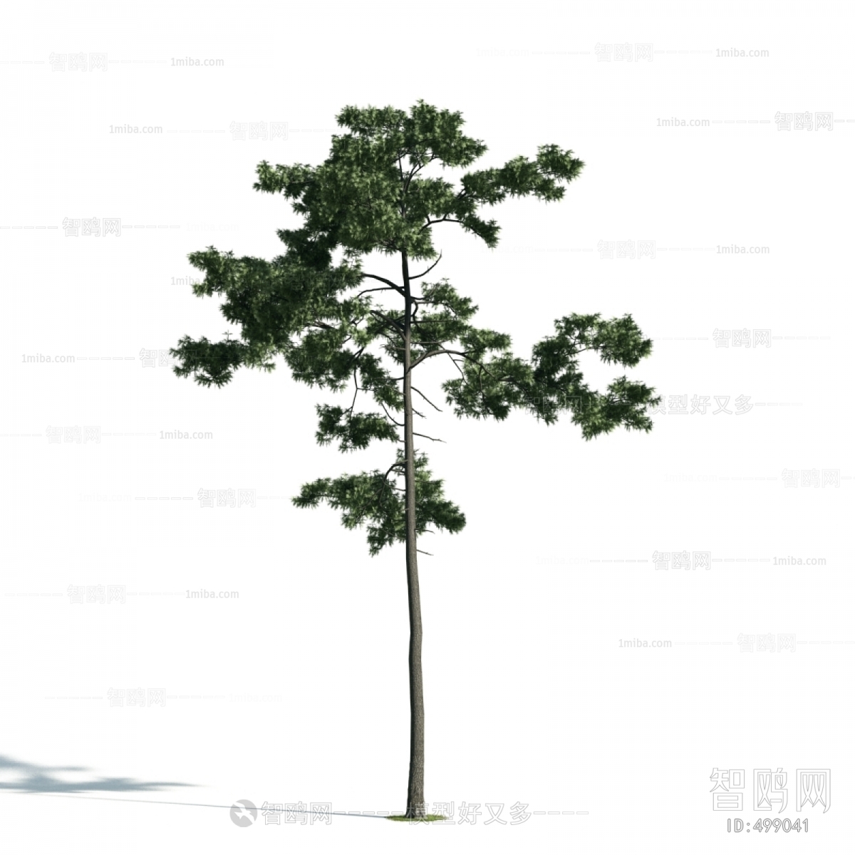 Modern Tree