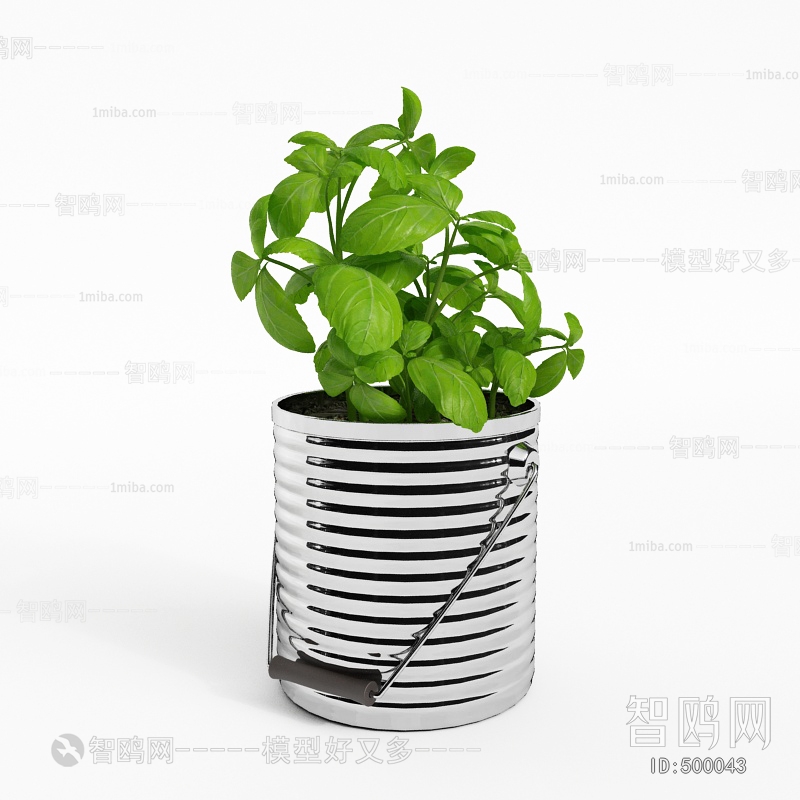 Modern Potted Green Plant