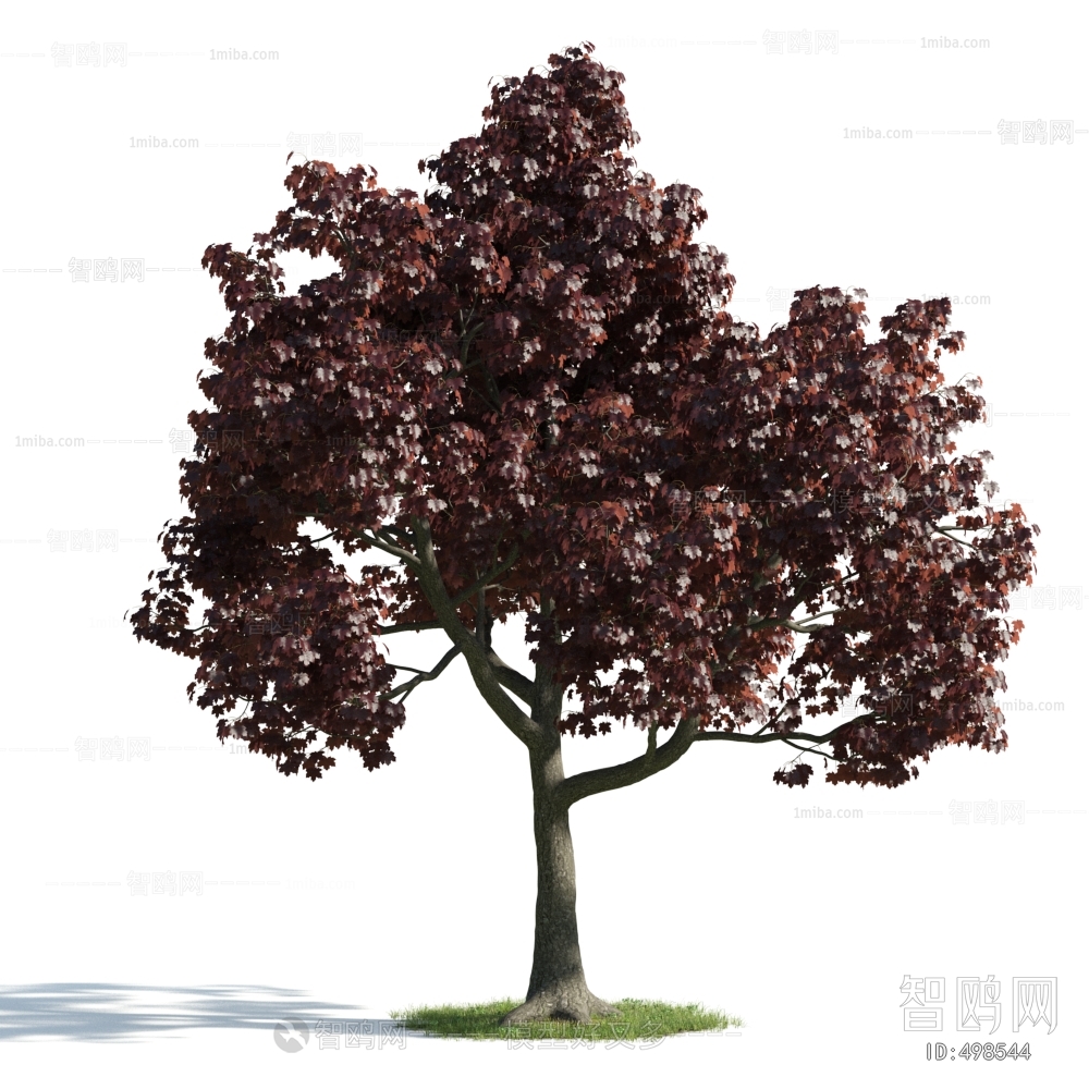 Modern Tree