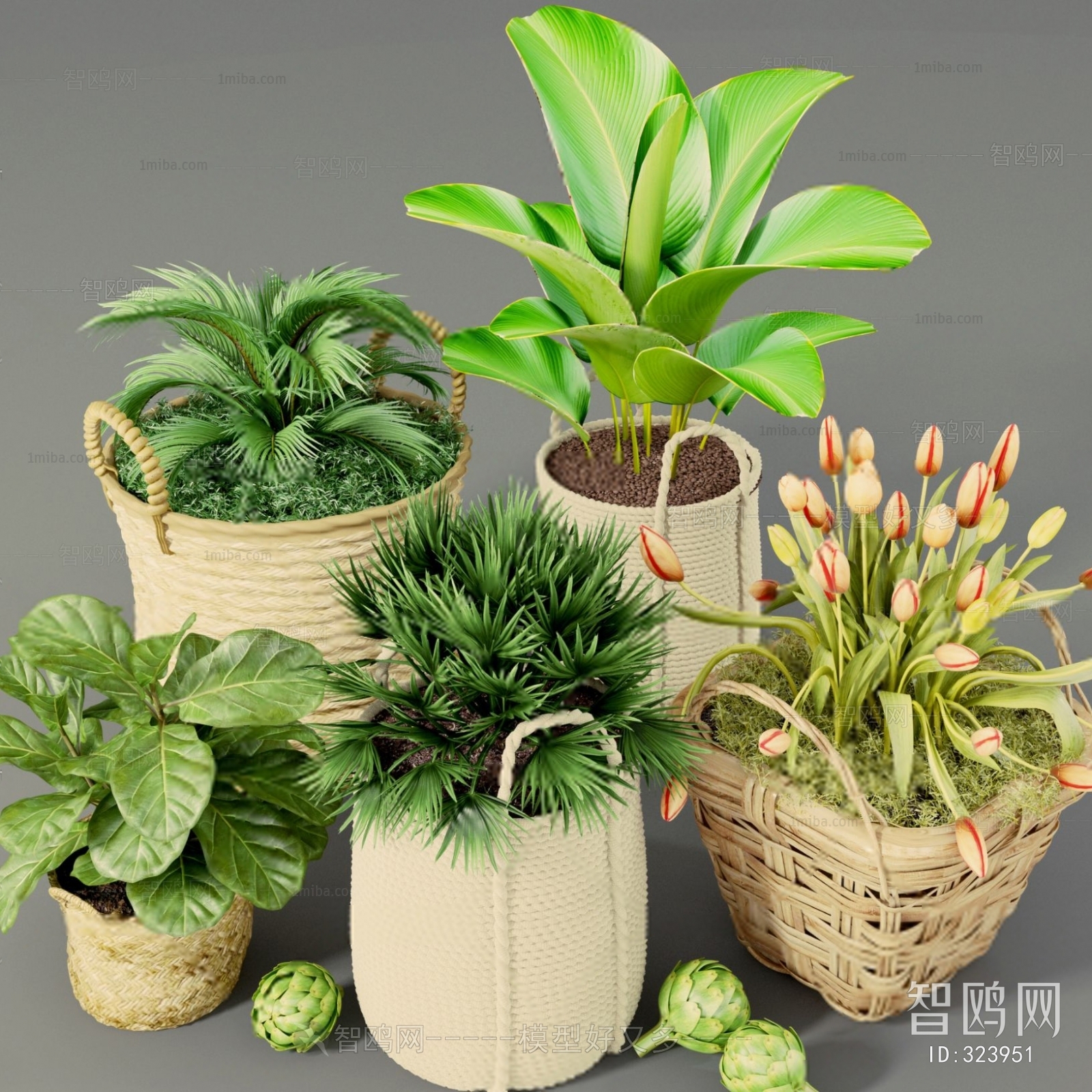 Modern Potted Green Plant