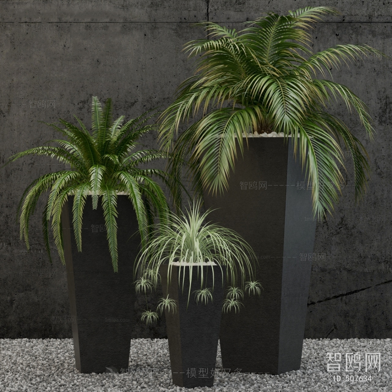 Modern Potted Green Plant