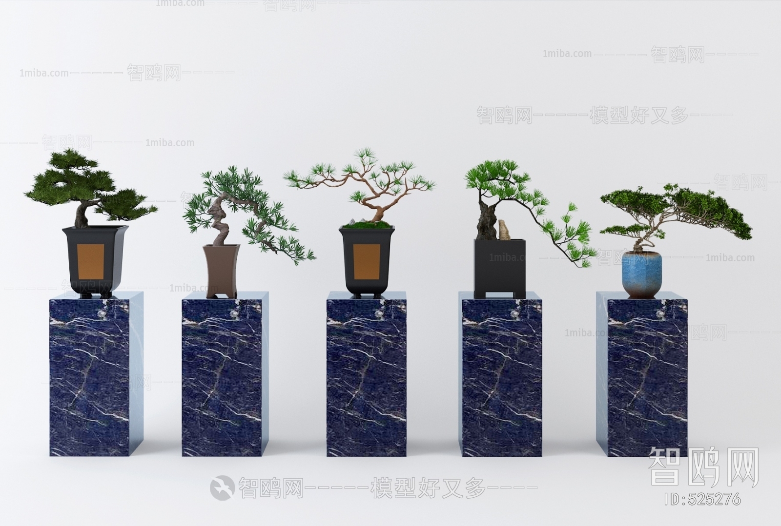 新中式迎客松盆栽植物组合