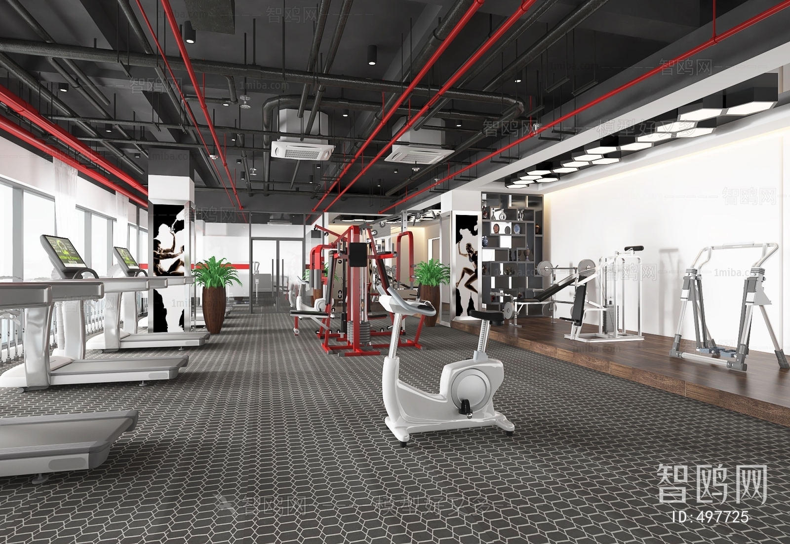 Industrial Style Gym